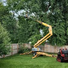 Best Tree Maintenance Programs  in Guttenberg, IA